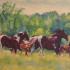 Karen Brenner Paintings: Carr Ranch Mustangs